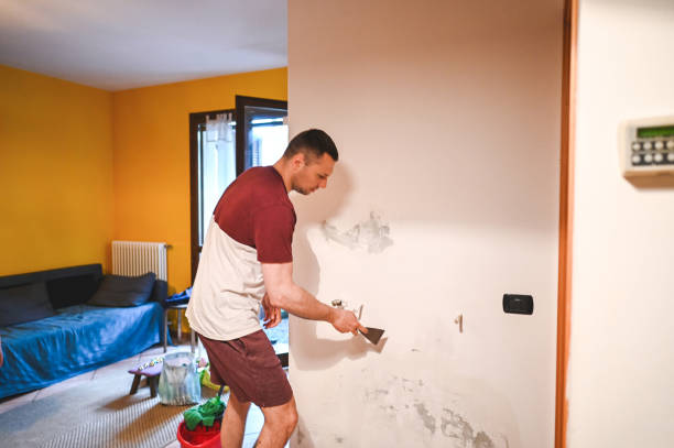 Best Mold Remediation Experts  in Plainedge, NY